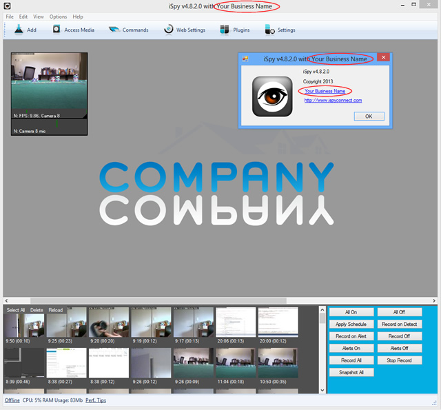 Customised company logo, title bar and about box